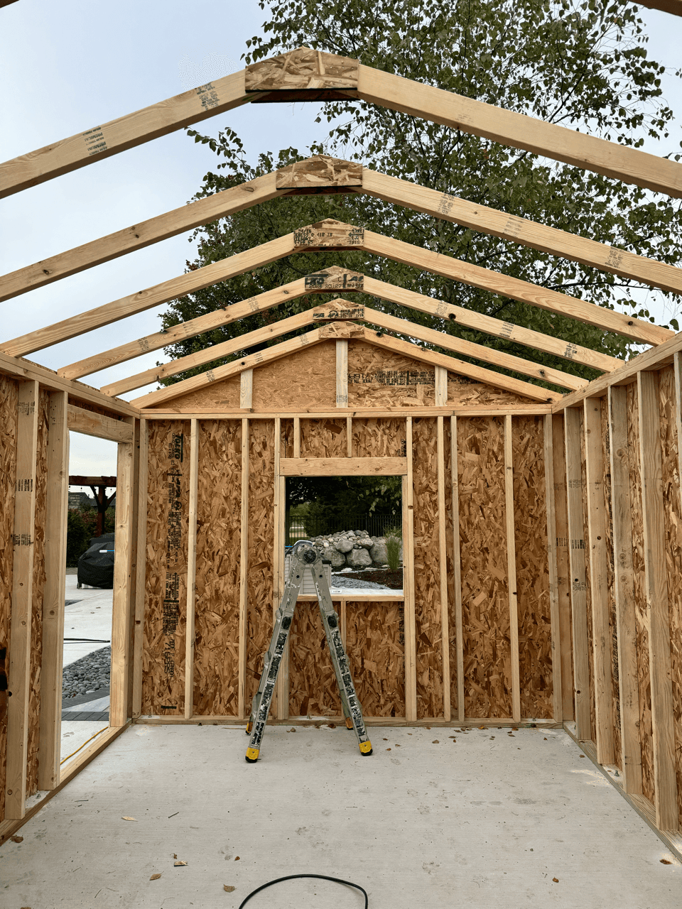 Partially constructed wooden shed with exposed framework and a ladder inside.